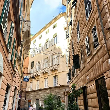 Palazzo Cambiaso Etico * Janov